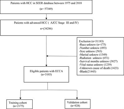 A Practical Nomogram and Risk Stratification System Predicting the Cancer-Specific Survival for Patients With Advanced Hepatocellular Carcinoma